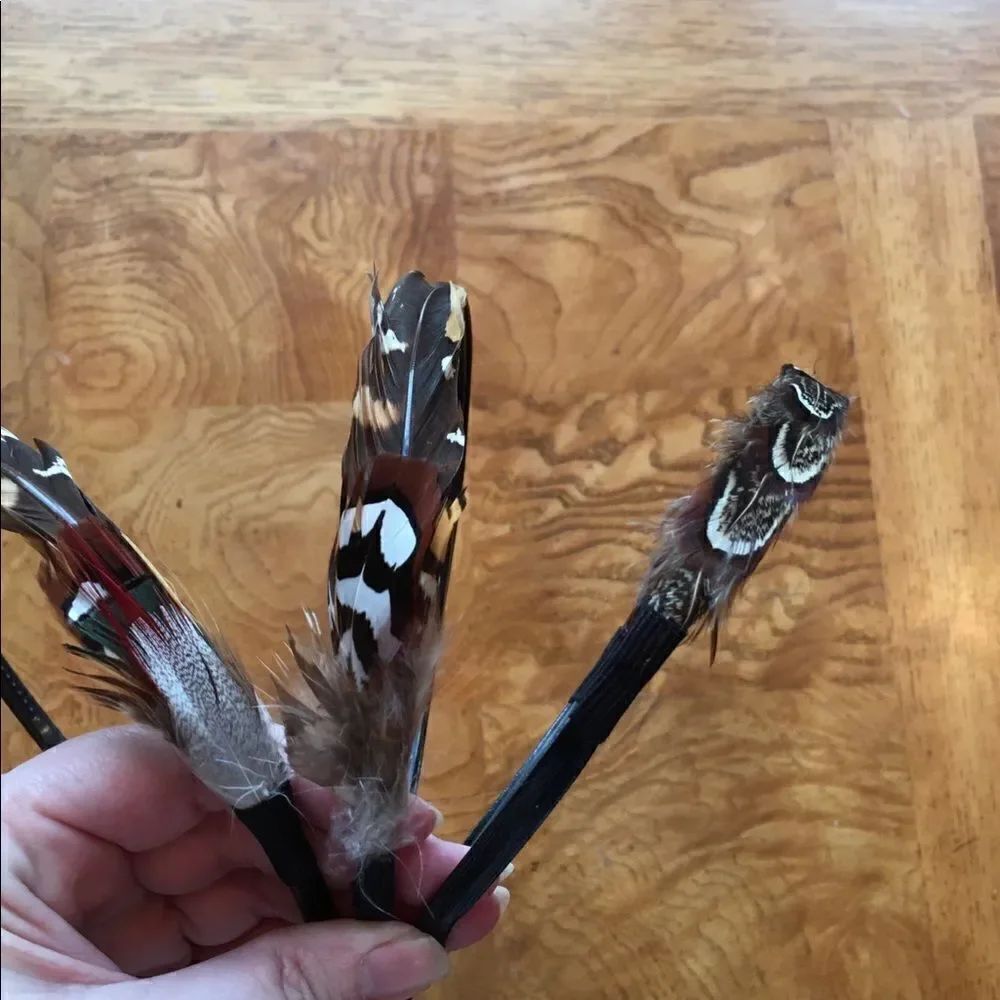 🎃 - FEATHER HEADBAND!! - Picture 7 of 8